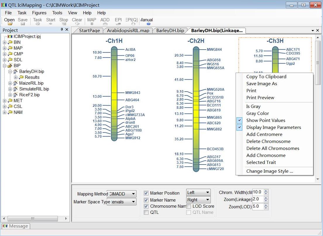 QTL IciMappingV4.0